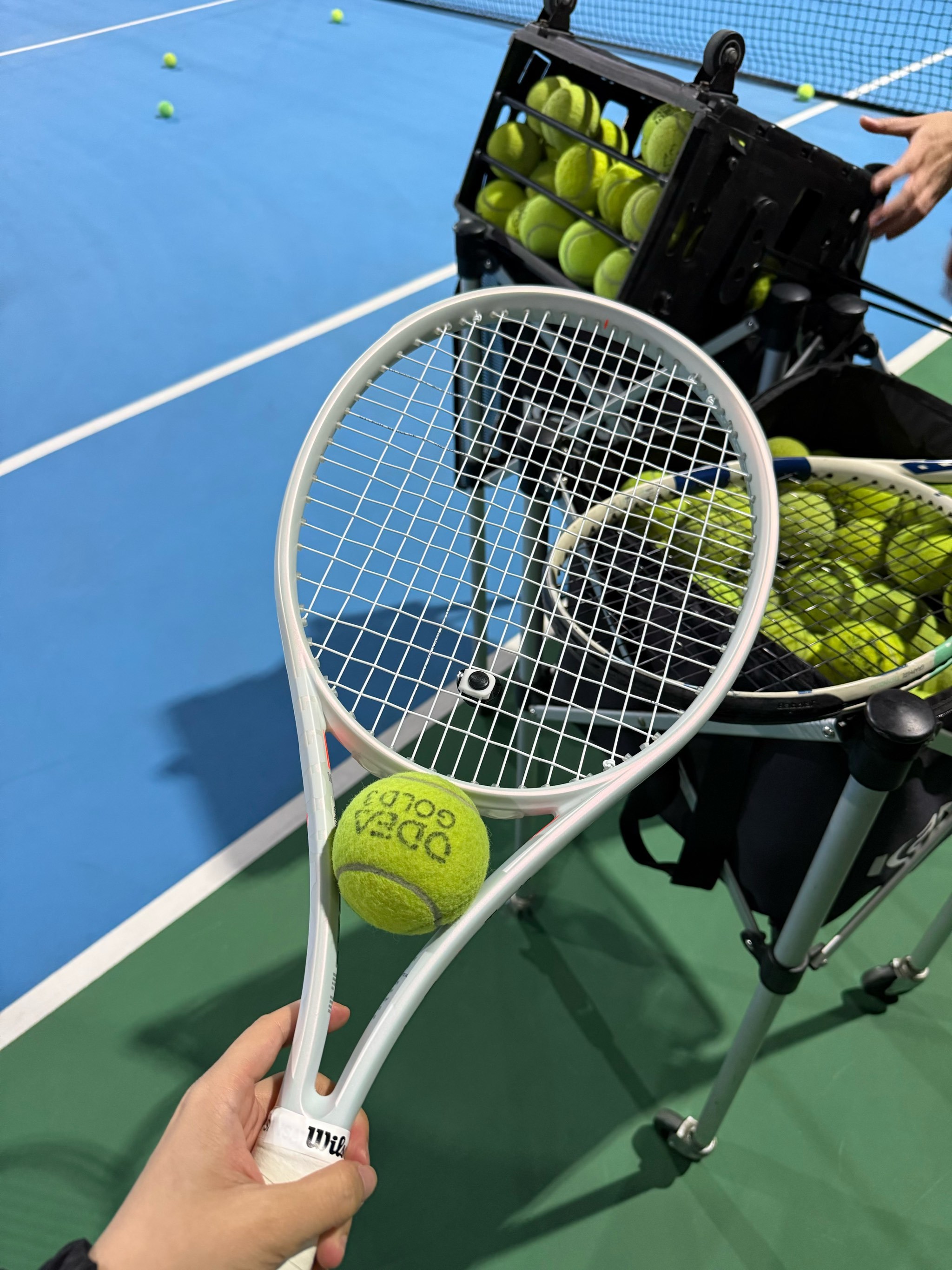 球迷们的热 球迷们的热