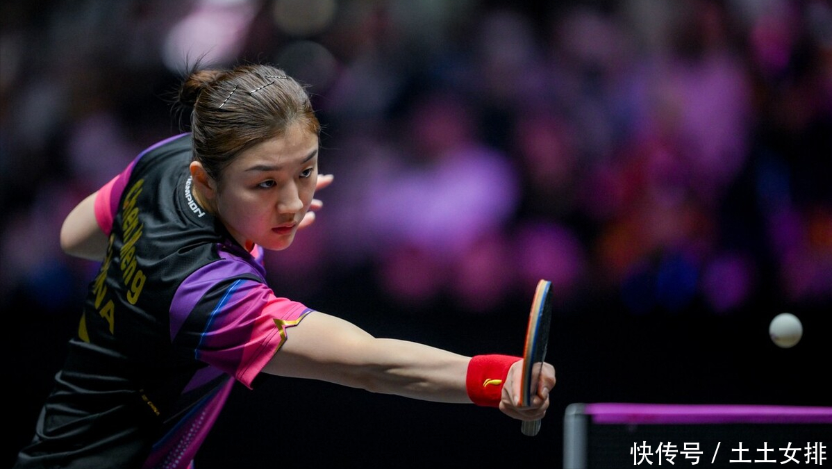 案的尽职调 案的尽职调